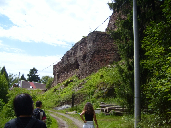 S7004923.JPG
