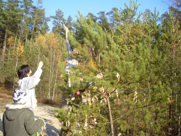 S7008704.JPG