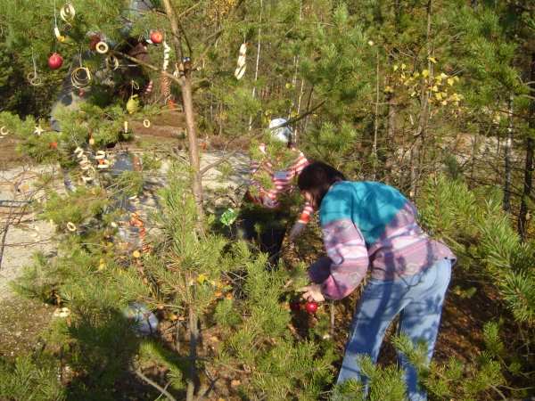 S7008705.JPG